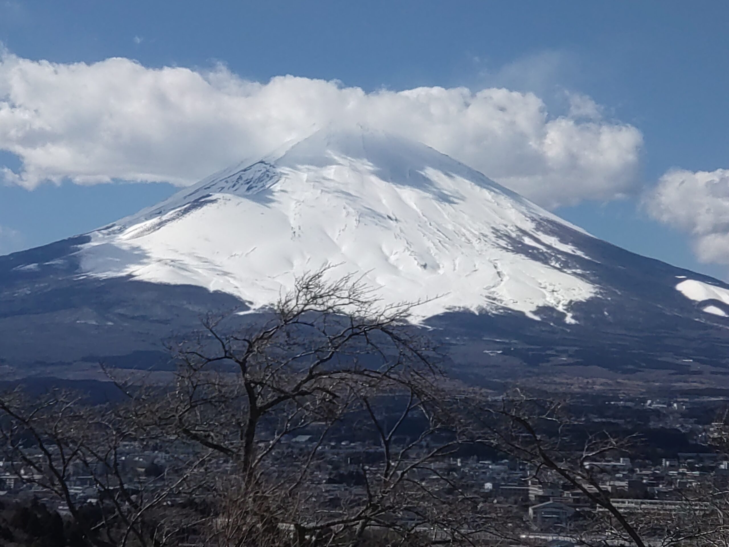 2026年元旦に寄せて ―― 空海の願い