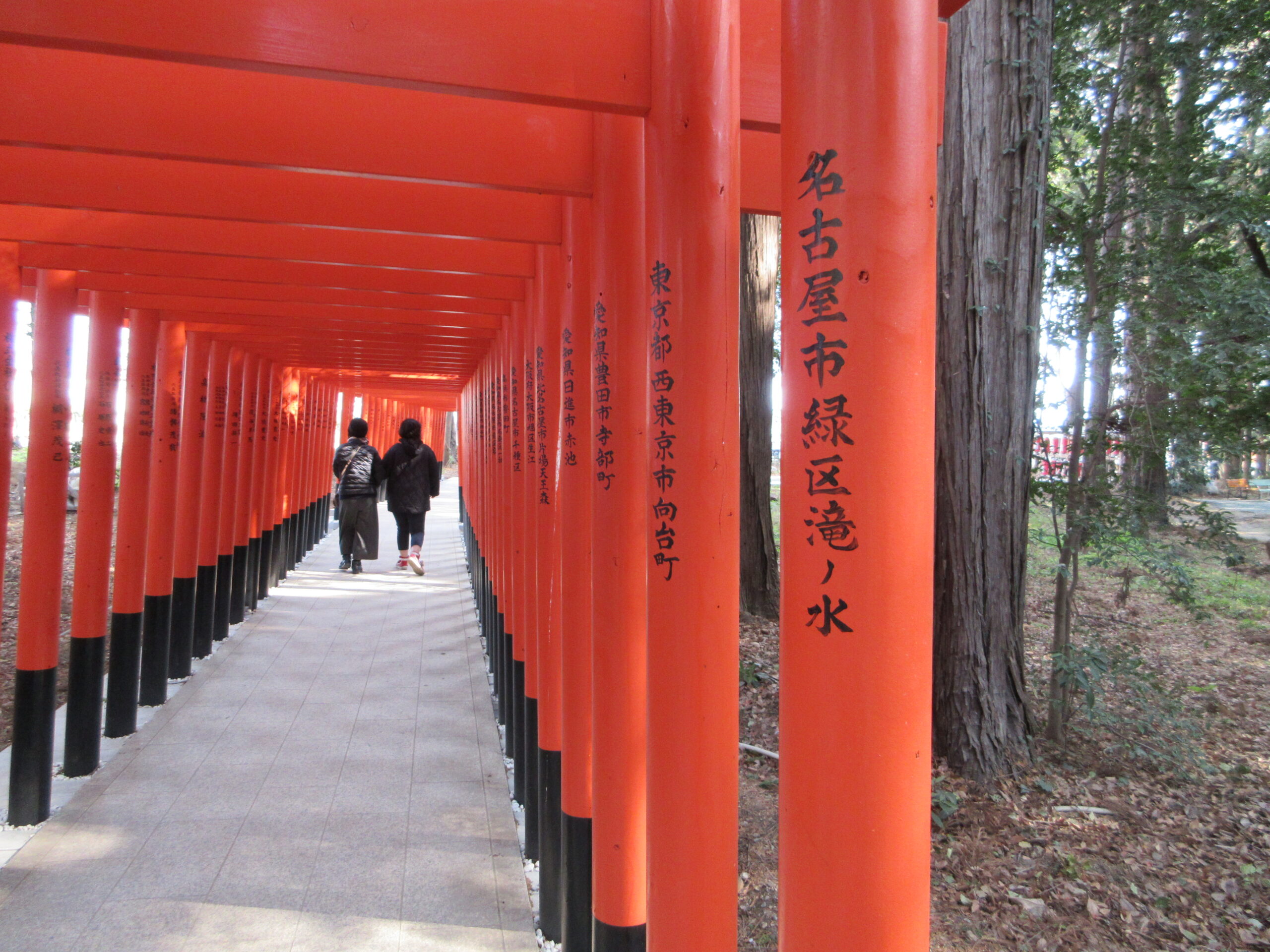 煩悩についての一考察