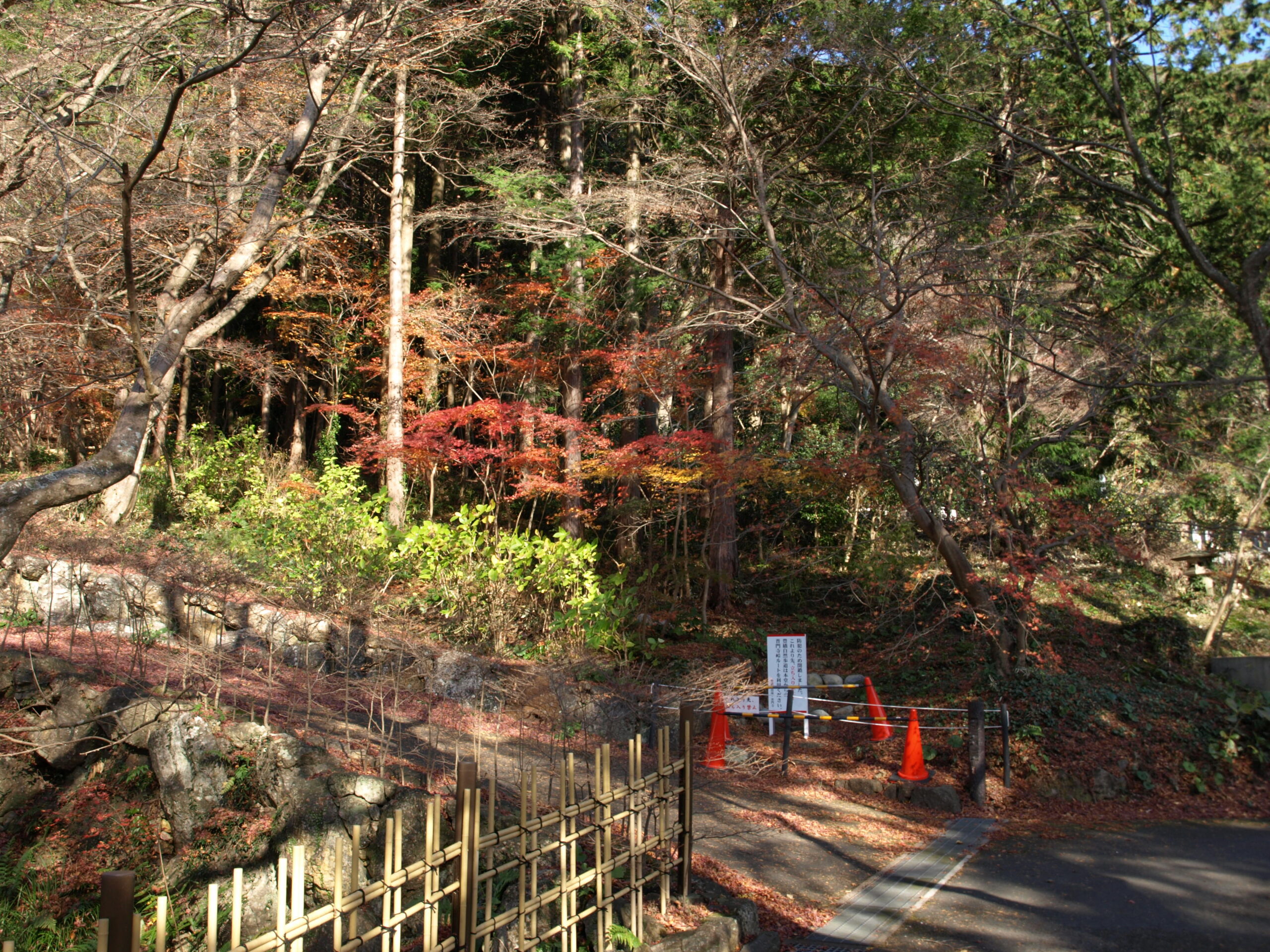 煩悩と空のあいだで ―― 空海の言葉を手がかりに